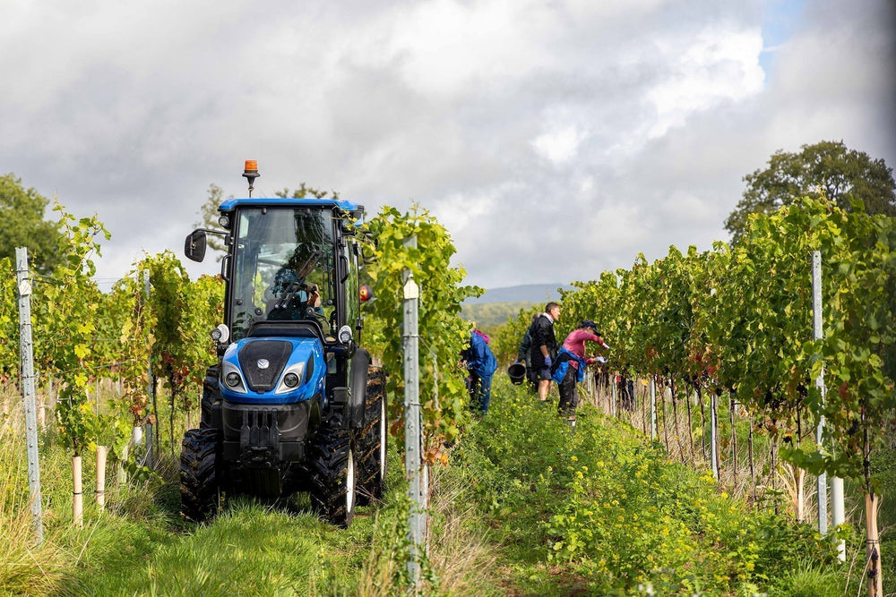 Harvest Newsletter